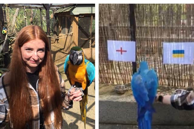 Eva says it's coming home