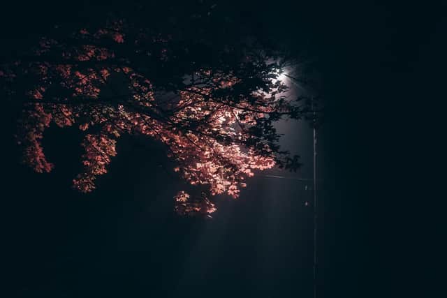 Photo by Elijah O'Donnell from Pexels