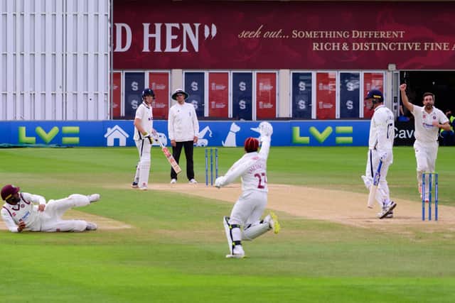 Northants celebrate claiming a Yorkshire wicket (Picture: Jamie Brown - JSR Photography)