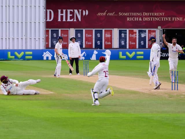 Northants celebrate claiming a Yorkshire wicket (Picture: Jamie Brown - JSR Photography)