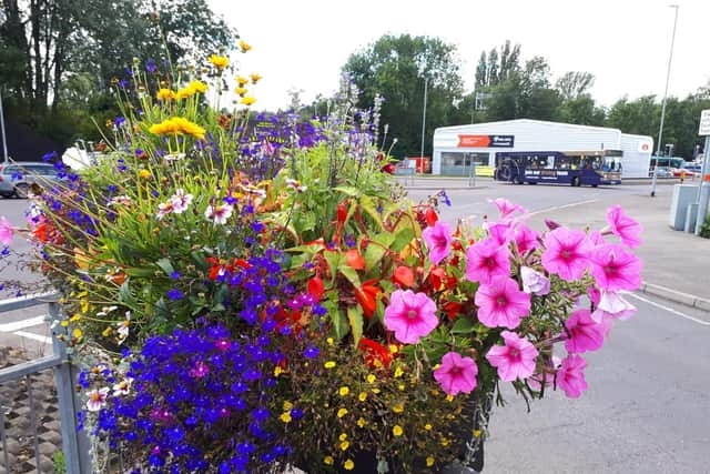 Flowers in Kettering