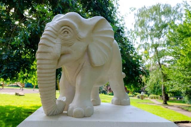 The elephant