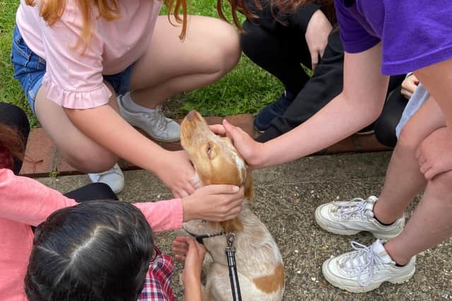 Children meet a four-legged friend