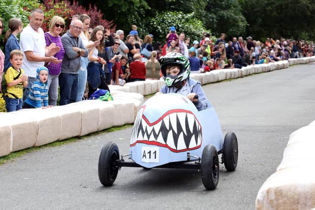 Shark Power - action from 2019