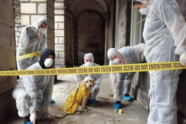Become a crime scene investigator in this outdoor adventure brought to you by CluedUpp Games.