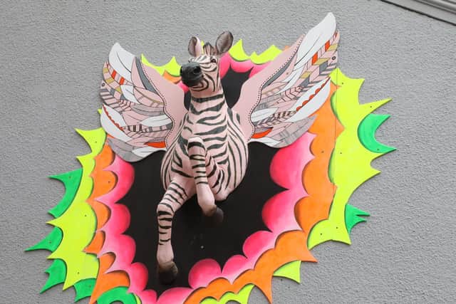 New artwork by Kettering artist Cathy Matthews now adorns the shop in the form of a pink and black zebra bursting out of the wall