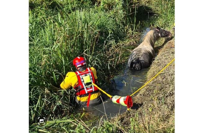 A firefighter in the ditch with the horse