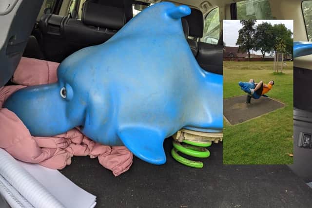 The dolphin in the back of his car and, inset, David rocking back on the ride