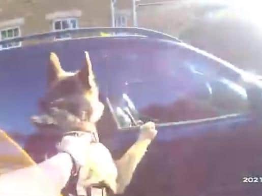 PD Bryn jumps at the stolen car, being driven by Alex Lundy