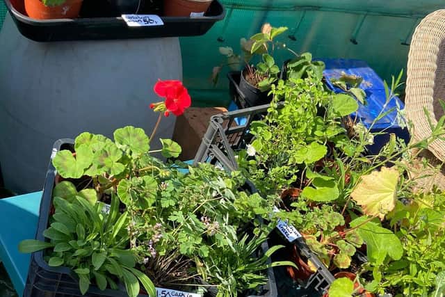Stalls raised nearly £200 for the project