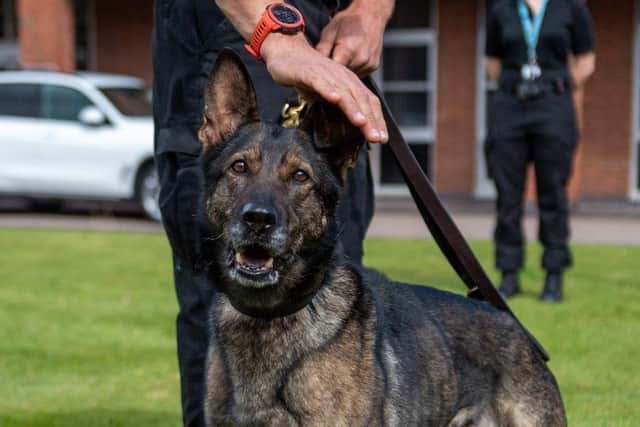 PD Nala when she retired from Northamptonshire Police after seven years on the job.