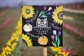 Pick your own tulips this Spring at Overstone Grange Farm in Northampton.
