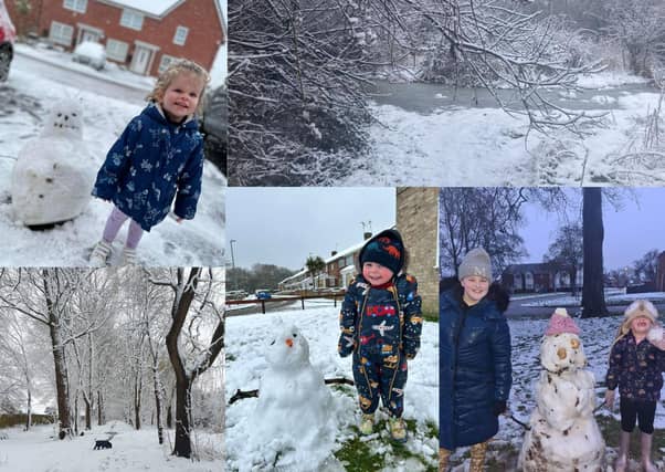 Your snow pictures