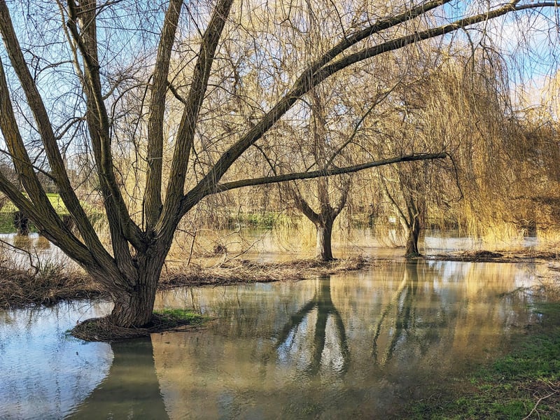 Flooding in Thrapston