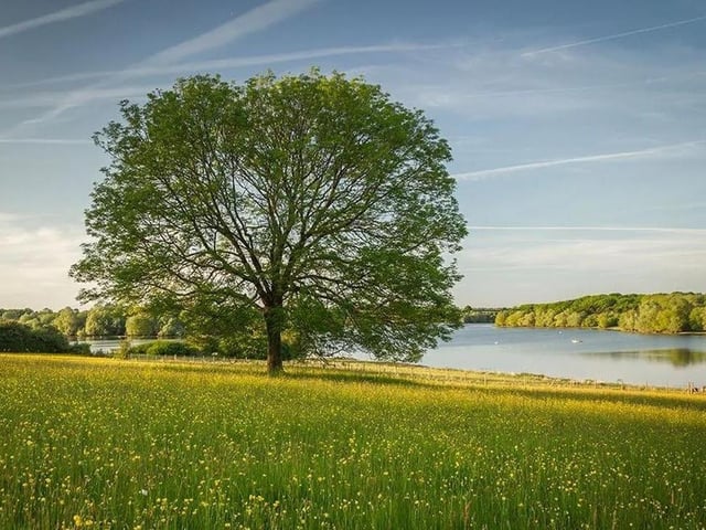 This is the most difficult walk on our list, beginning and ending at the Windhover pub in Chapel Brampton. At 22.9km (14.2 miles), the walk will likely take more than five hours to complete, and can get very muddy, but those who are up for the challenge will be rewarded with stunning views of Pitsford Water and the local wildlife.