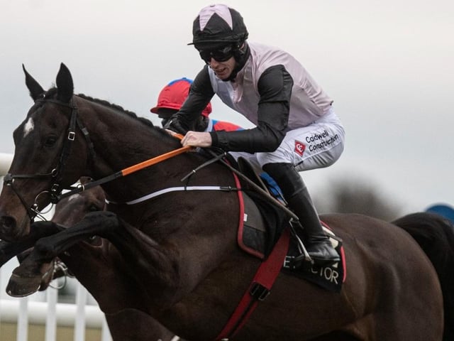 Only special horses win eight on the bounce, so step forward the unbeaten GERRI COLOMBE, who is the second exciting novice chaser expected to put his stamp on the Cheltenham Festival this week for trainer Gordon Elliott. The 7yo was mightily impressive when landing a Grade One at Sandown last month and will relish the step-up to 3m in the Brown Advisory Chase on Wednesday (2.10) before tackling next year's Gold Cup.