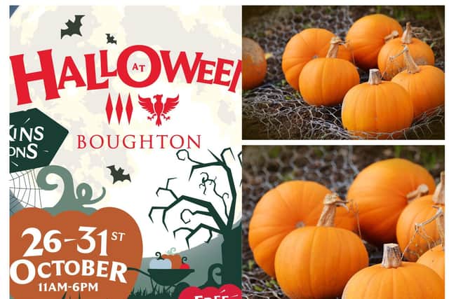 Halloween fun is coming to the Boughton Estate this month
