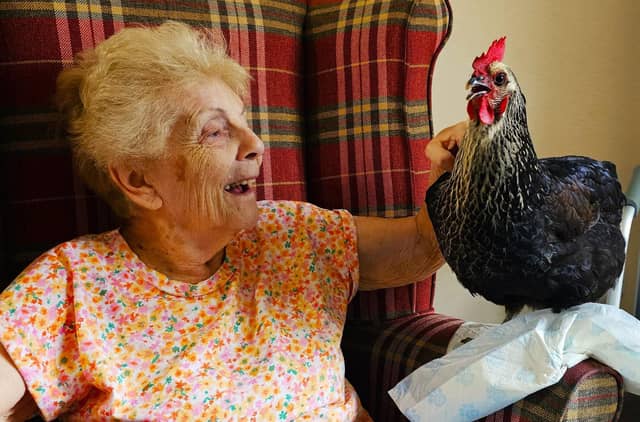 Elm Bank Care Home in Kettering welcomes Michelle's Petting Party.