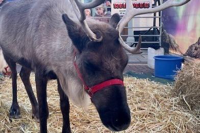 Rushden town centre light switch-on event 2023