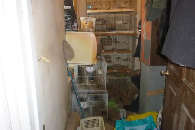 Birds seized by police as part of the investigation