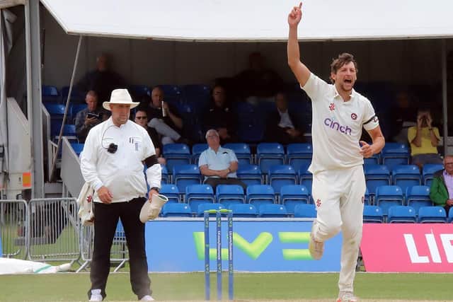 Jack White celebrates claiming the wicket of Middlesex batter John Simpson  (Picture: Peter Short)