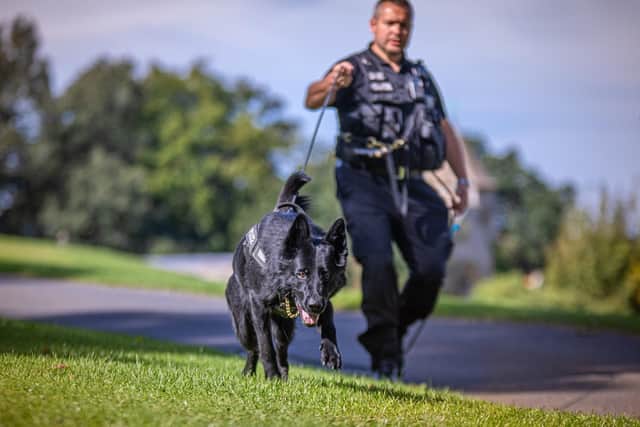 PD Fama is retiring from Northamptonshire Police.