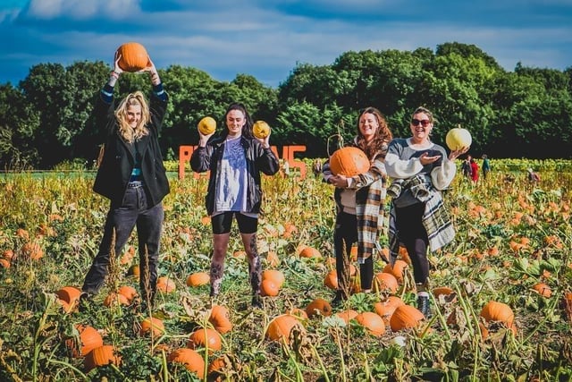 The Patch MK at Mount Hill Farm in Stratford Road, Milton Keynes will be open every weekend in October and then every day from Friday, October 21 until Sunday, October 30. Tickets cost £2.50 per person and include access to the pumpkin patch, photo opportunities, play and parking.