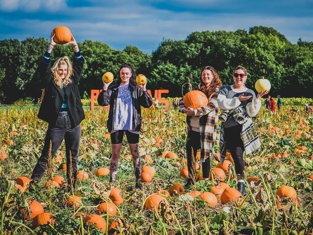 The Patch MK at Mount Hill Farm in Stratford Road, Milton Keynes will be open every weekend in October and then every day from Friday, October 21 until Sunday, October 30. Tickets cost £2.50 per person and include access to the pumpkin patch, photo opportunities, play and parking.