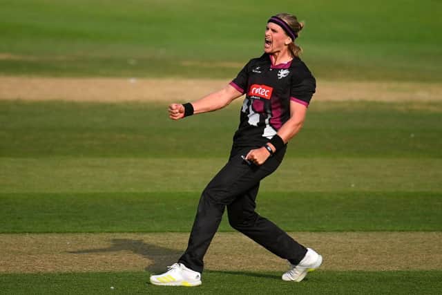 Ollie Sale celebrates a wicket for Somerset in 2022 (Picture: Harry Trump/Getty Images)