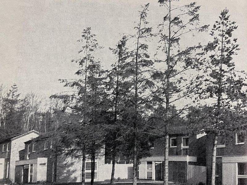 The privately-owned area around Colyers Avenue was known as Queensland Park after it was built. It was designed to be the 'poshest' area of the town and to some extent remains so.