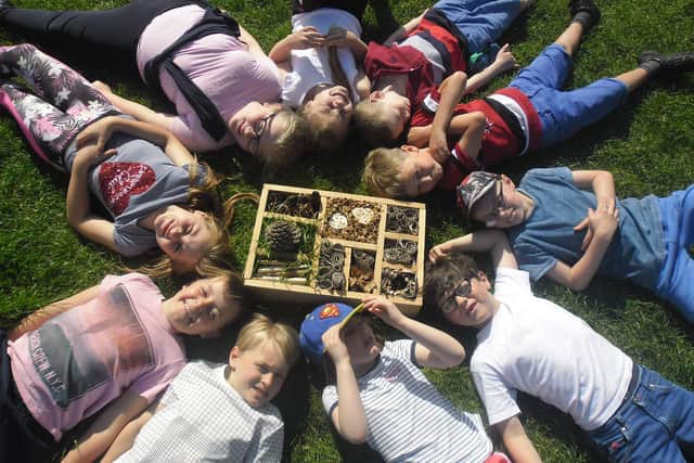 Children can make a bug hotel and a bird feeder