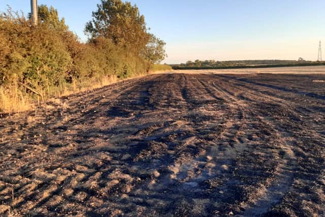 The burnt field