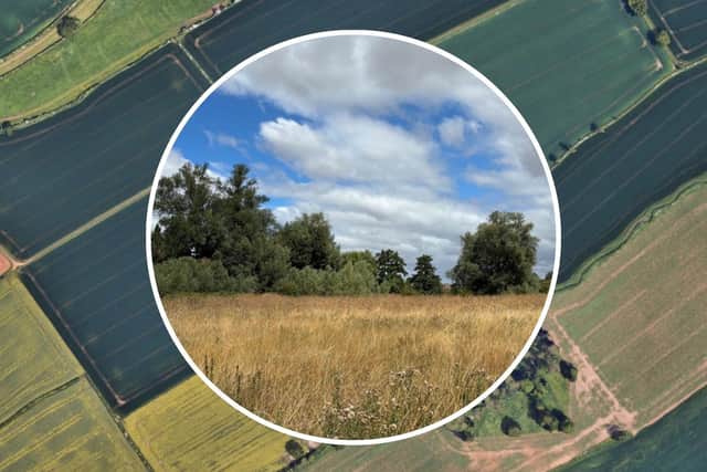 New woodland for Kettering/Google/NNC