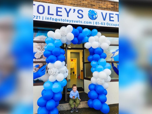 Stoley's Vets opening