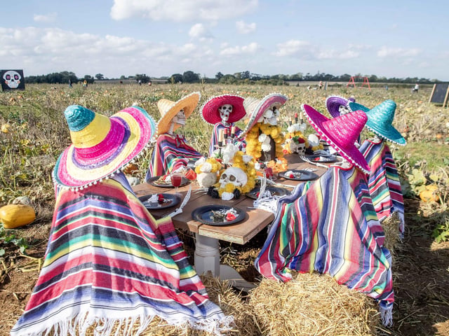 The farm reopened for the 2024 autumn season over the weekend (Saturday October 5 and Sunday October 6).