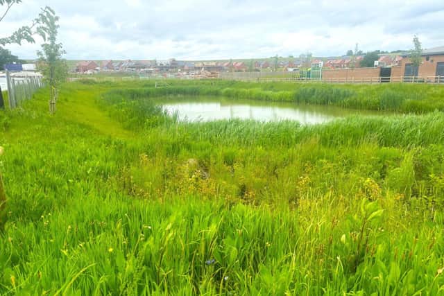 Selected communal areas at Glenvale Park have been left to grow freely