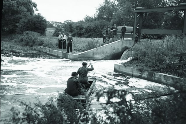 August 4, 1966 dragging river at Wellingborough