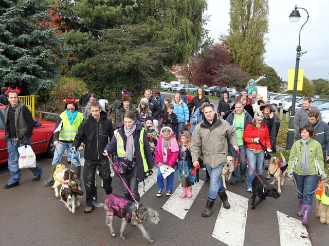 Spooky Stroll Wicksteed Park Kettering Vets4Pets charity dog walk 2012