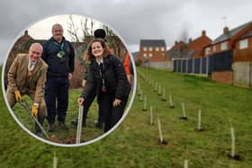 Deputy Lieutenant Dominic Goble plants 'Dave' to mark the 50th anniversary of Community Payback/ and the Higham Heights saplings/ Higham Town Council