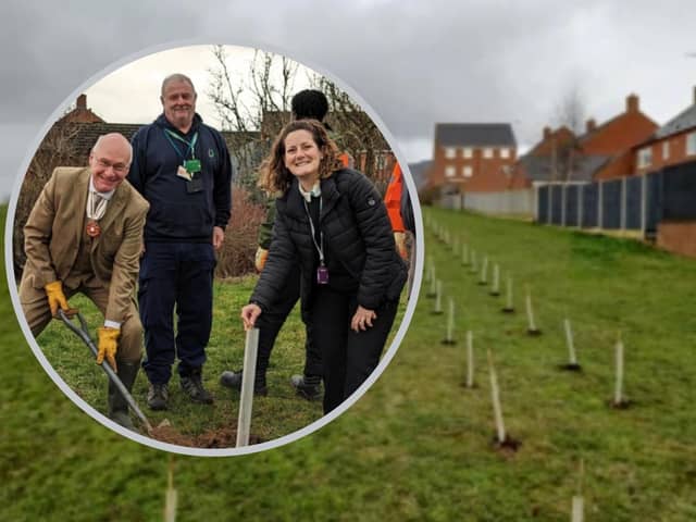 Deputy Lieutenant Dominic Goble plants 'Dave' to mark the 50th anniversary of Community Payback/ and the Higham Heights saplings/ Higham Town Council