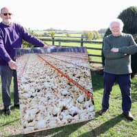 Rushden industrial chicken factory racks up more than 3,262 objections as Cluck Off campaign continues