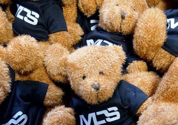 The bears wear MDS-branded hoodies