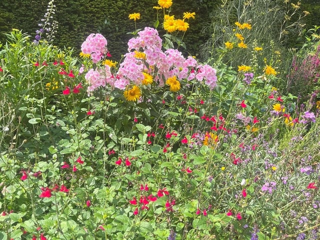 Inside the new sensory garden