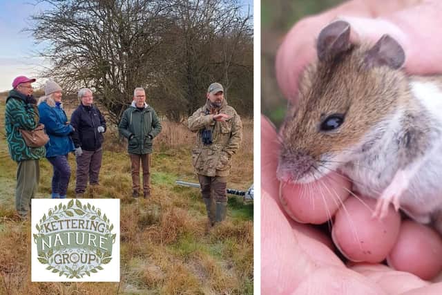 Kettering Nature Group will be holding a hedgerow planting session ahead of their Festival of Nature/ Kettering Nature Group