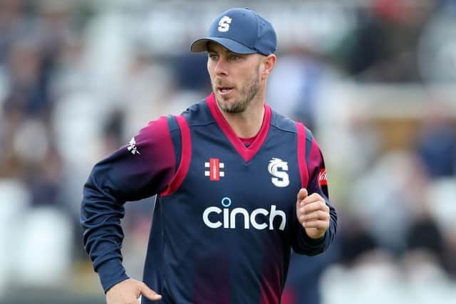 Chris Lynn was a big hit with the Steelbacks last summer