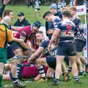 The celebrations begin as Kettering score one of their tries in their win over Leighton Buzzard at Waverley Road. Pictures by Glyn Dobbs