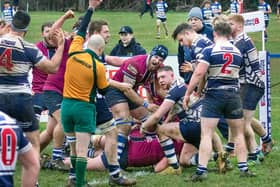 The celebrations begin as Kettering score one of their tries in their win over Leighton Buzzard at Waverley Road. Pictures by Glyn Dobbs
