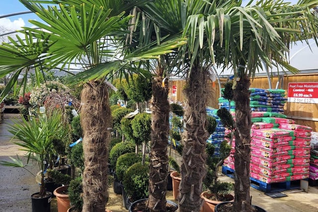 “Get the garden you love for less” - this centre in Barton Seagrave, rated on the whole 4.5, offers a variety of quality products from plants and trees to bird care and aggregate. Keep up to date on their new produce by following their Instagram page - @isegardencentreuk. “Prices and quality are outstanding”, one reviewer said.