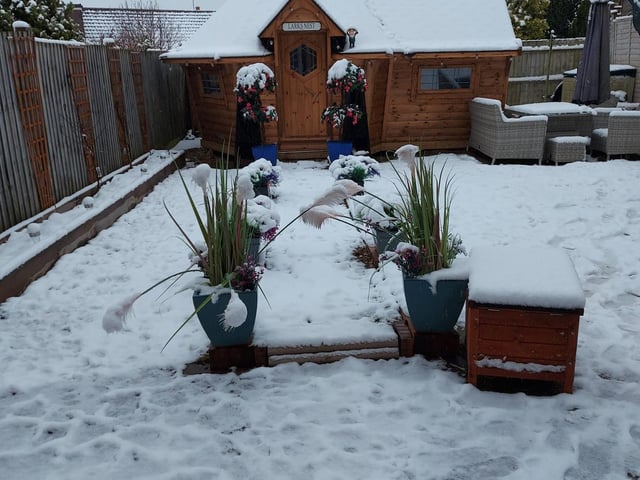 Karen Sutton's snowy garden