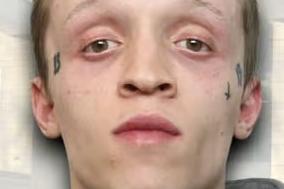 The heartless bully strangled his girlfriend until she believed she would die and stamped on the family’s 12-week-old kitten, called Taco, killing it. Westwood, aged 25, of Westminster Walk, Corby, was jailed for 30 months.